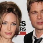Brad Pitt wife Angelina Jolie news